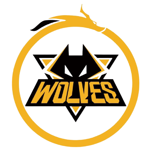 世界舞台上 世界舞台上